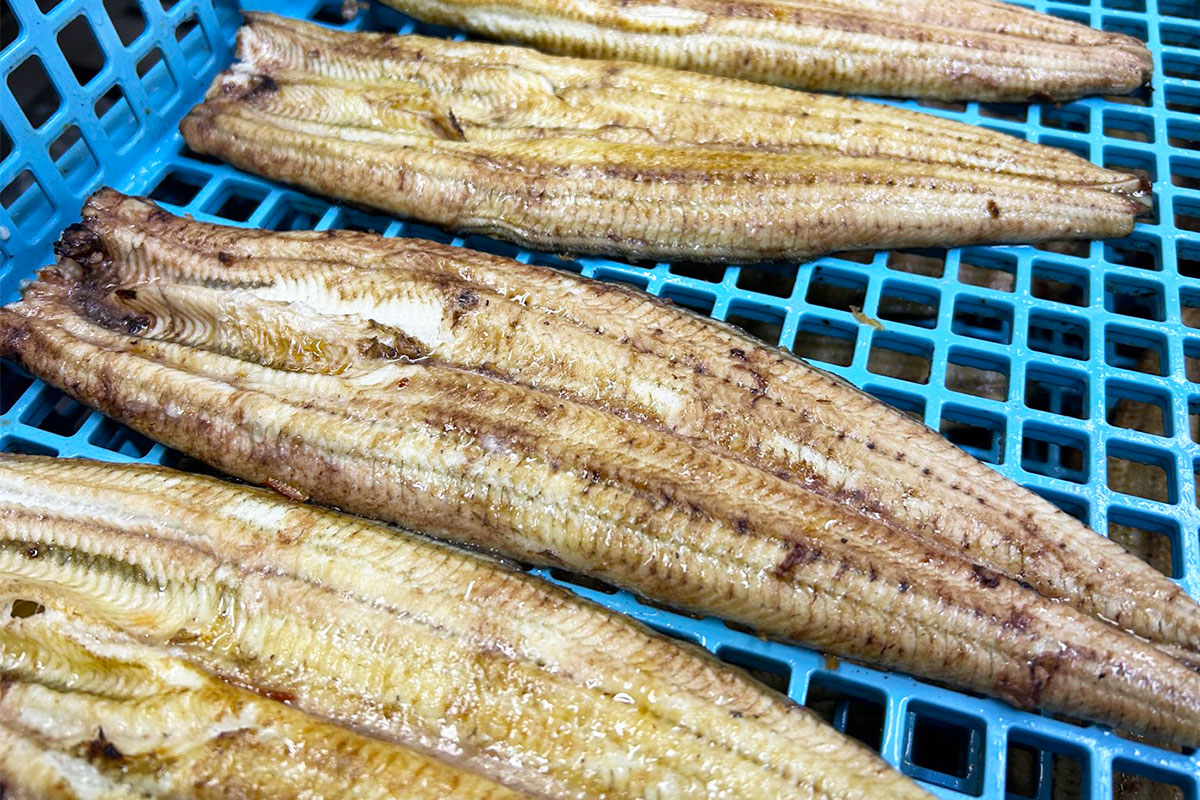 鰻の加工